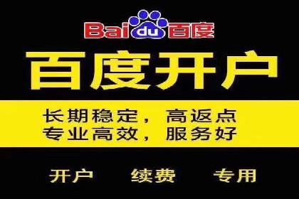 百度竞价公司与品牌合作：双赢的案例分析